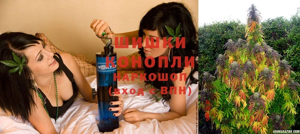 дмт Богородск