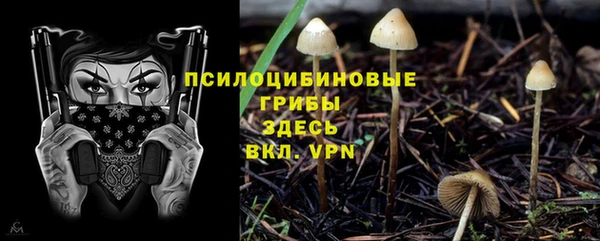 а пвп мука Богородицк