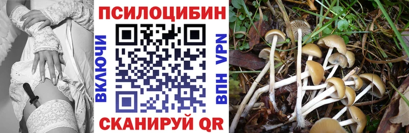 Купить  Можайск  Галлюциногенные грибы прущие грибы 